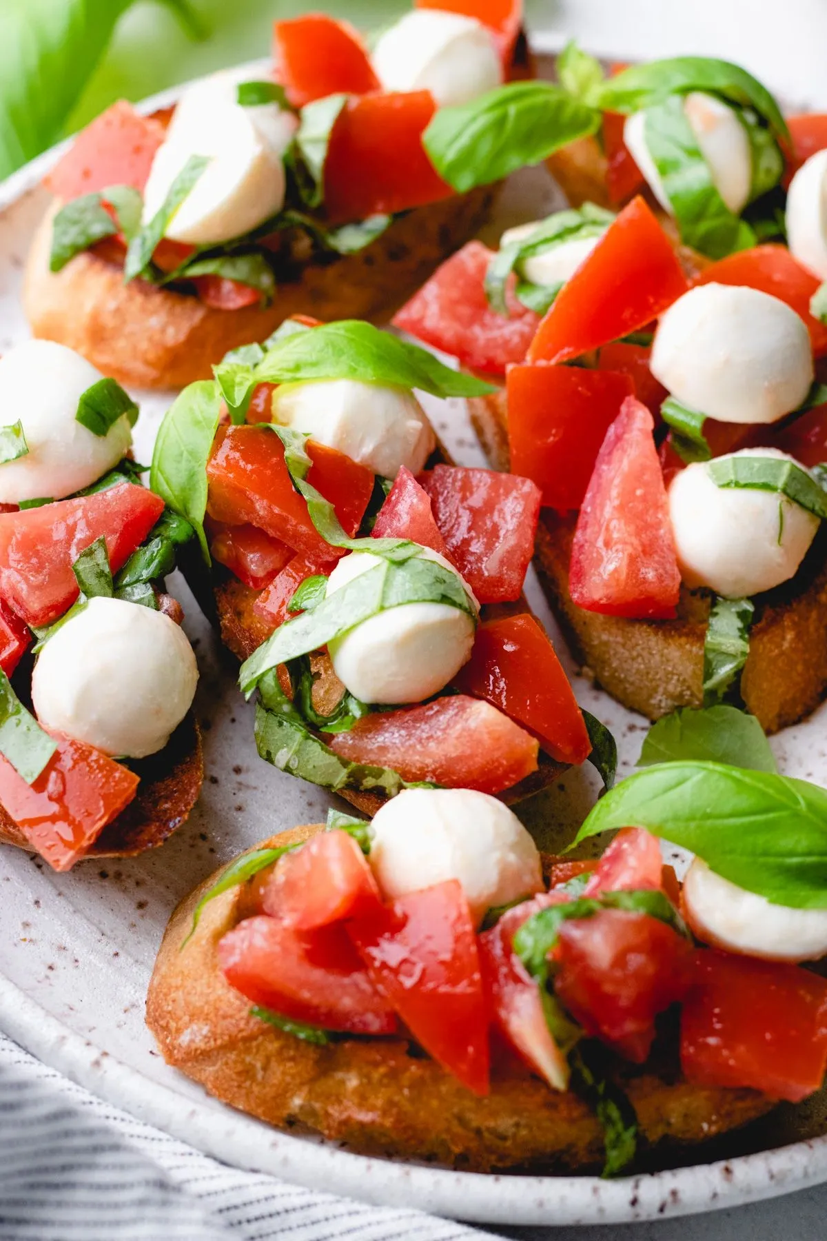 Tomato bruschetta with fresh mozzarella and basil